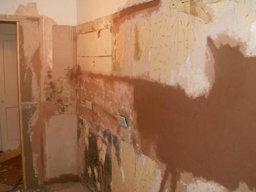 Seldon Road - Before